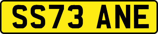 SS73ANE