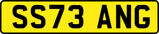 SS73ANG