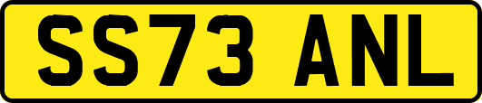 SS73ANL