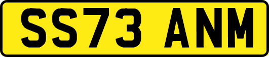 SS73ANM