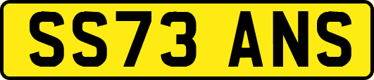 SS73ANS
