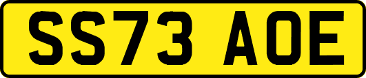 SS73AOE