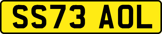SS73AOL