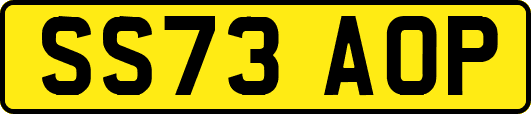 SS73AOP