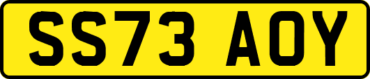 SS73AOY