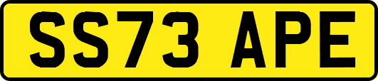 SS73APE