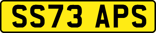 SS73APS