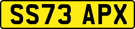 SS73APX