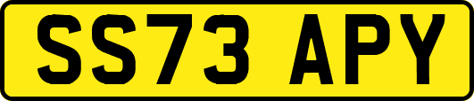 SS73APY