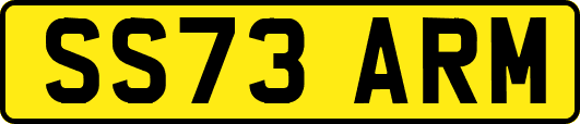 SS73ARM