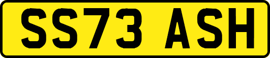 SS73ASH