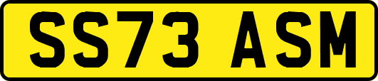 SS73ASM