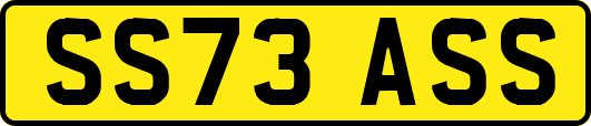 SS73ASS