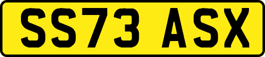SS73ASX