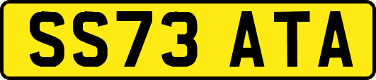 SS73ATA