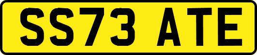 SS73ATE