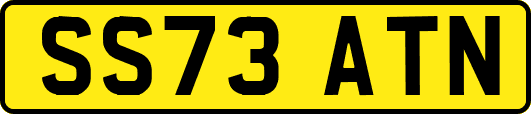 SS73ATN