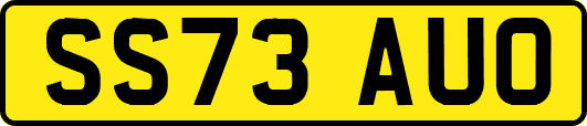 SS73AUO