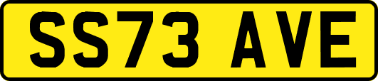 SS73AVE