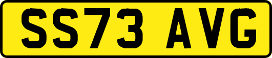 SS73AVG