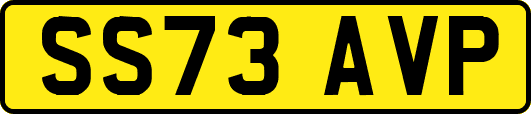SS73AVP