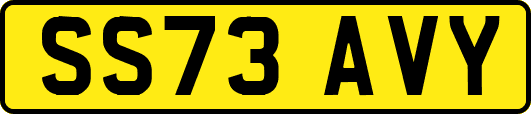 SS73AVY