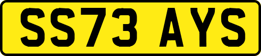 SS73AYS