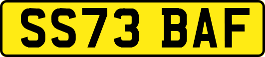 SS73BAF