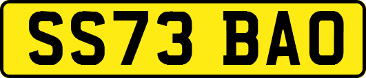 SS73BAO