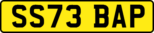 SS73BAP
