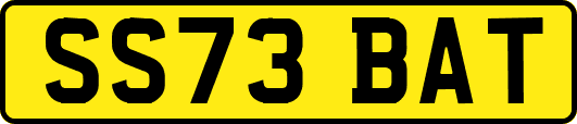 SS73BAT