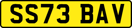 SS73BAV