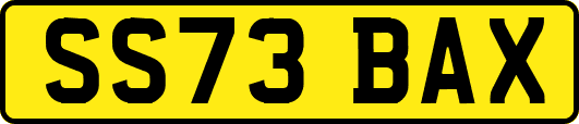 SS73BAX