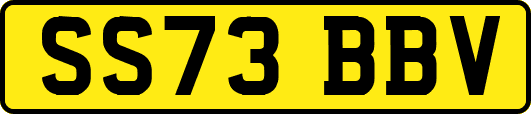 SS73BBV