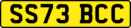 SS73BCC