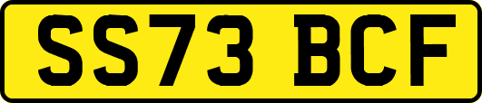 SS73BCF