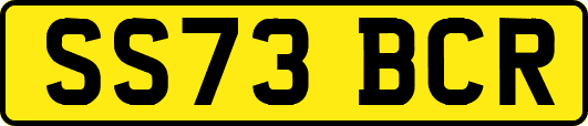 SS73BCR