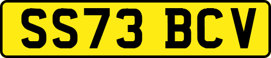 SS73BCV