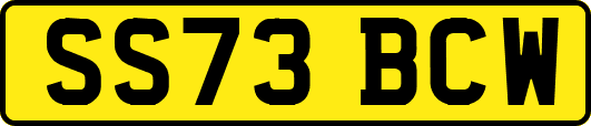 SS73BCW