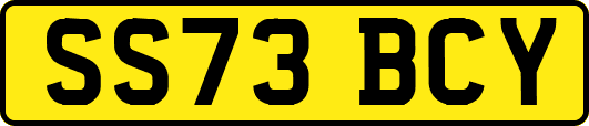 SS73BCY