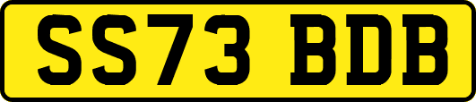 SS73BDB