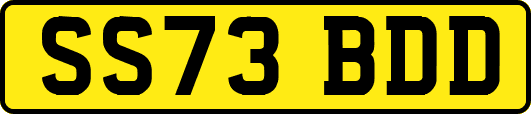 SS73BDD