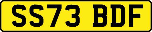 SS73BDF