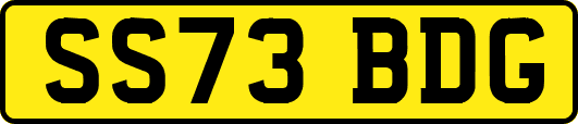 SS73BDG