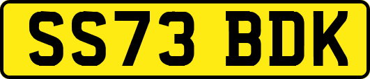SS73BDK