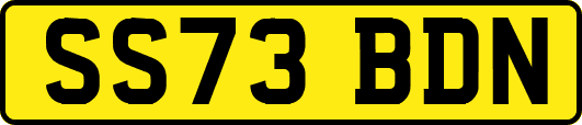 SS73BDN