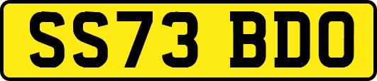 SS73BDO