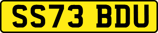 SS73BDU