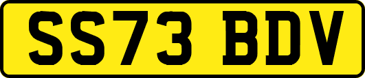 SS73BDV