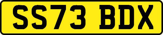 SS73BDX